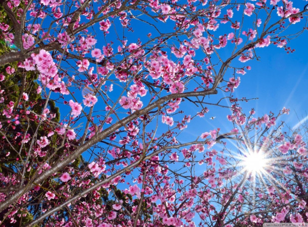 🏛️ Succession vacante : que faire quand un copropriétaire décède sans héritier ?